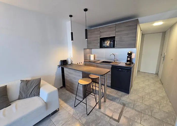 3cap D'agde Naturiste T2 Avec Garage Privé *