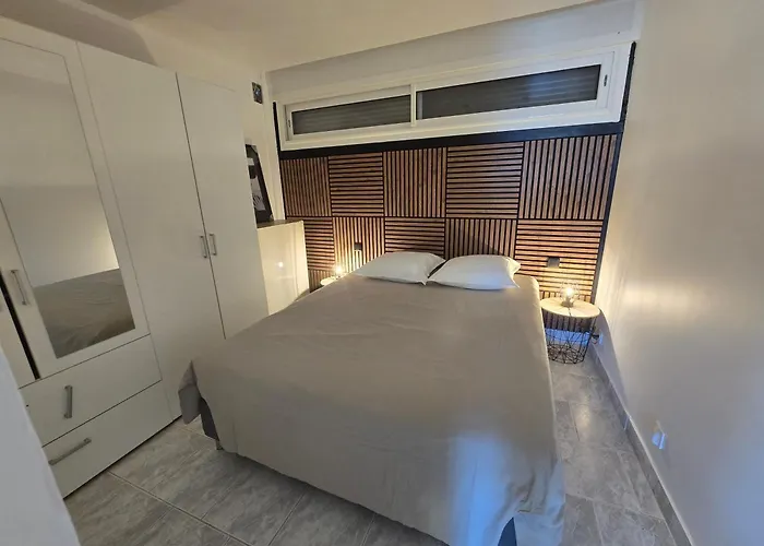 3cap D'agde Naturiste T2 Avec Garage Prive Appartement Agde