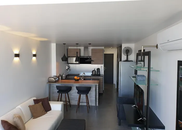 3cap D'agde Naturiste T2 Avec Garage Prive